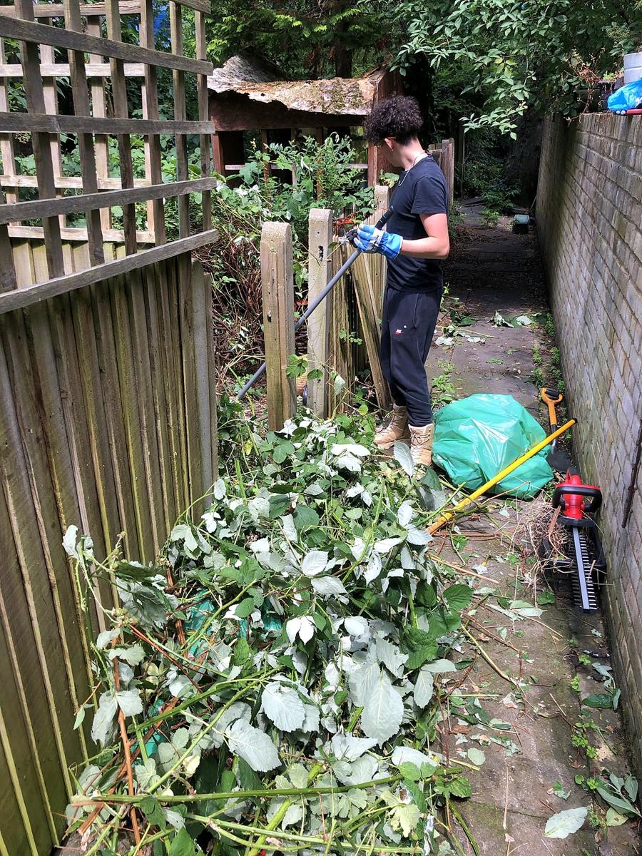 Clearing brambles along the fence