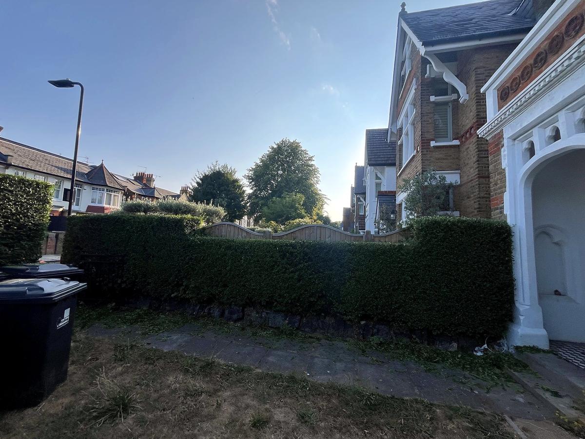 The right side of the hedge, neatly squared