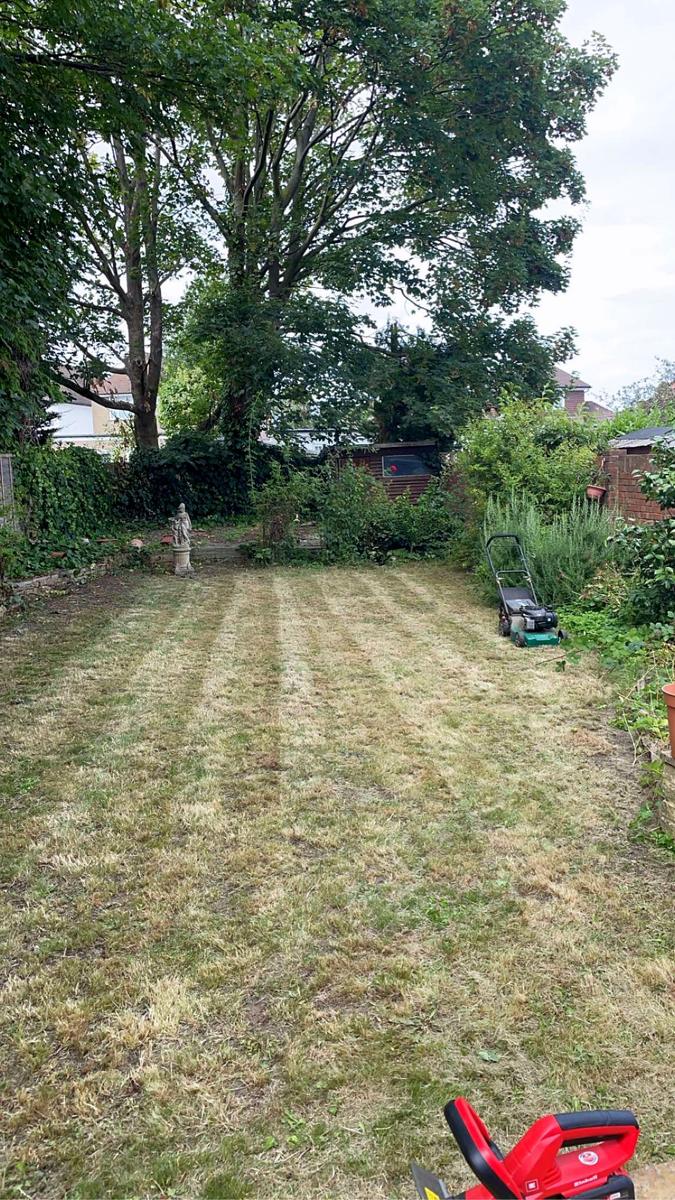 Freshly striped lawn with neat borders