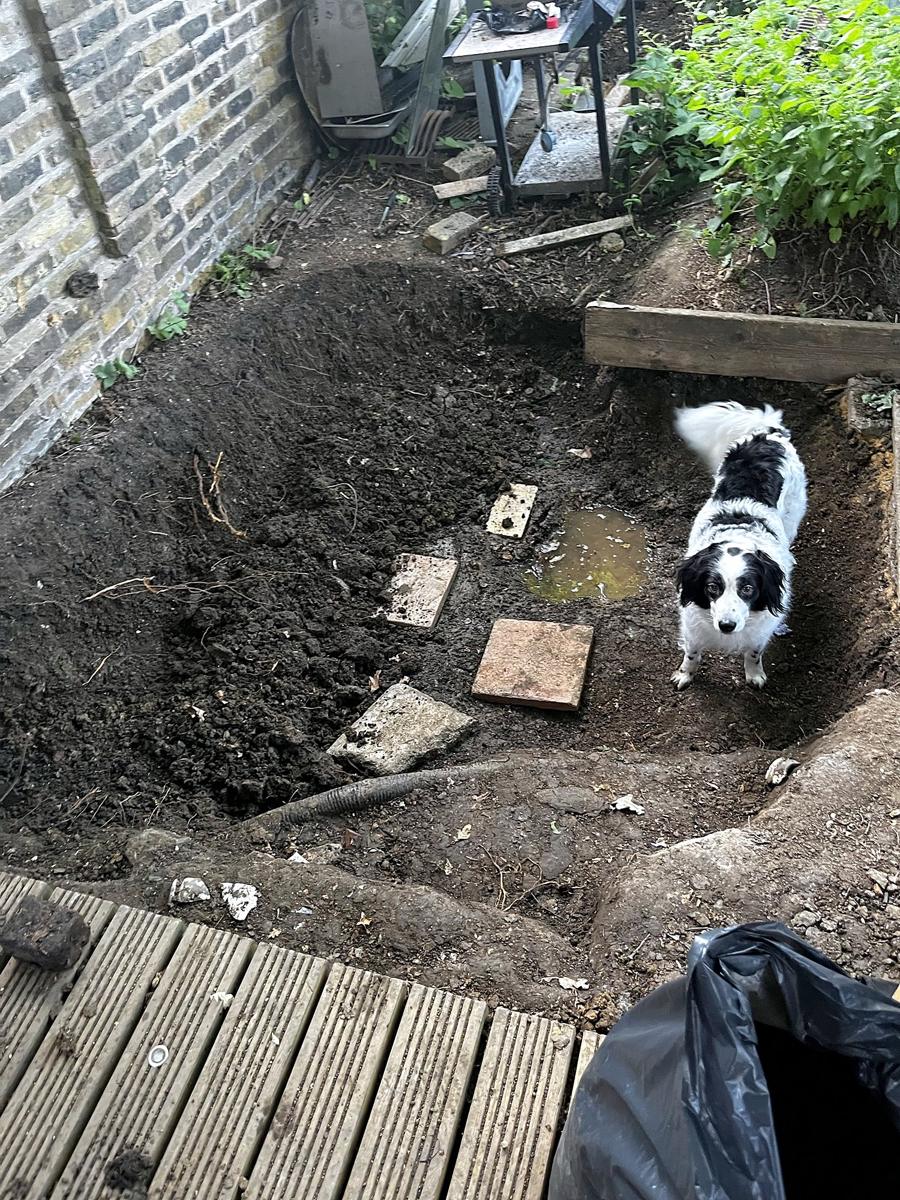 Freshly dug pond with Mr Big Mac inspecting