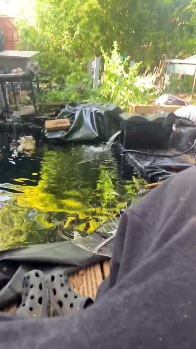 Pond filling with the waterfall running