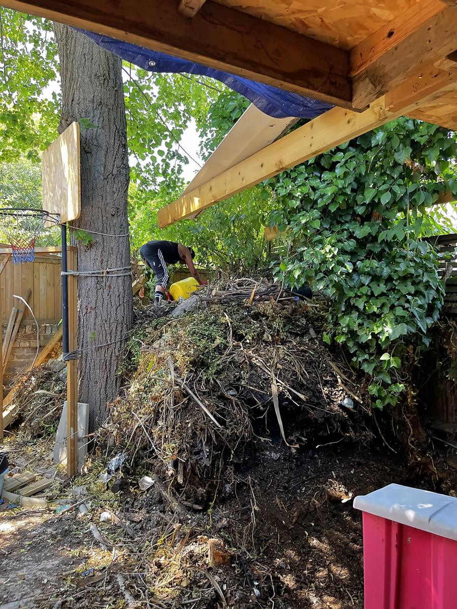 Huge pile of green waste under a large tree