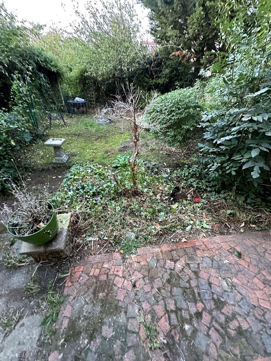 Garden opened up, seen from the brick path
