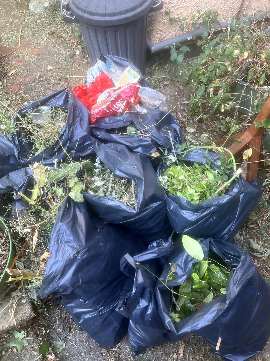 Filled bags of green waste