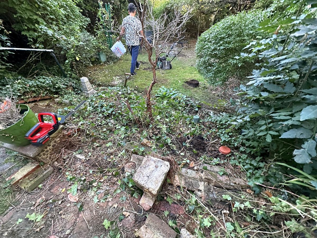 Clearing the overgrown garden